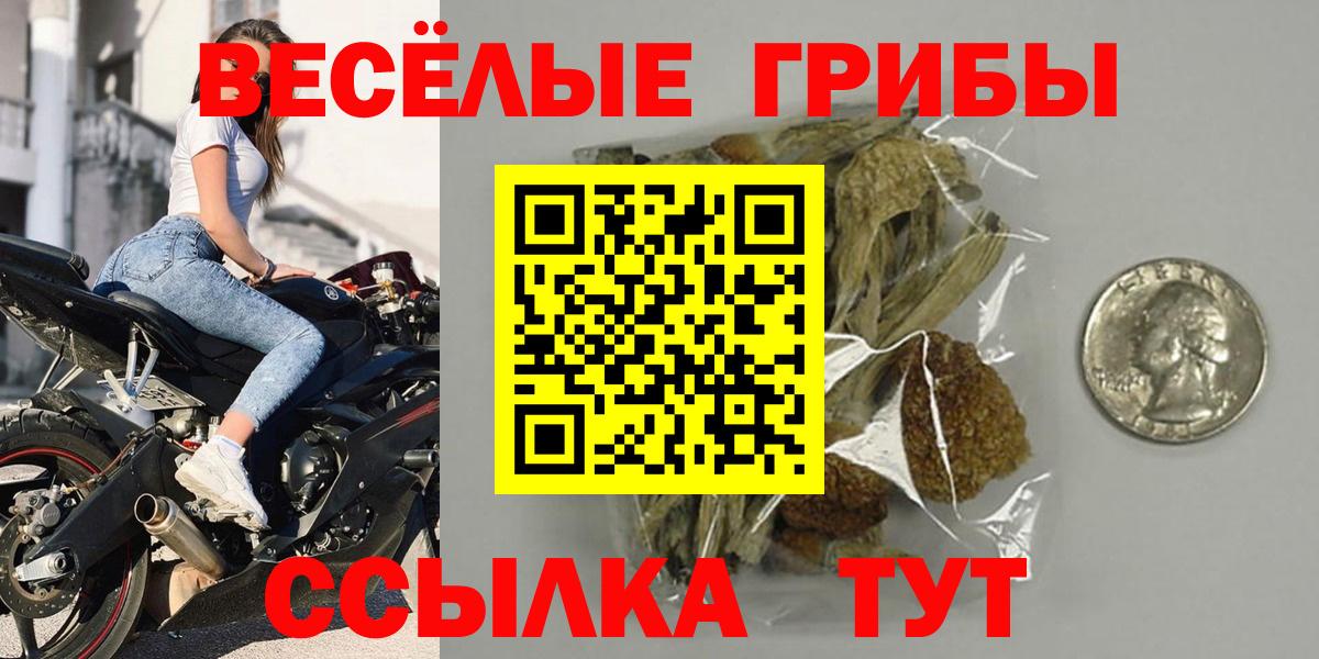 Знаменск  Псилоцибиновые грибы Magic Shrooms  Псилоцибиновые грибы Cubensis  Вход с VPN 