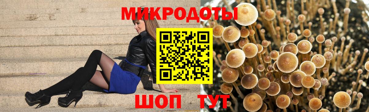 Галлюциногенные грибы Magic Shrooms Знаменск
